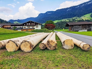 Hügel, Gebirge, Bergstation, Senke, Grat, Ranch, Bauernhof, Alpen