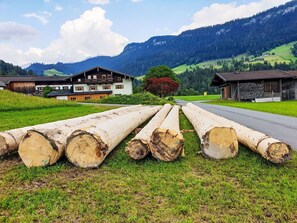 Hügel, Gebirge, Bergstation, Senke, Grat, Ranch, Bauernhof, Alpen