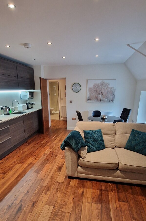 Living Room / Lounge