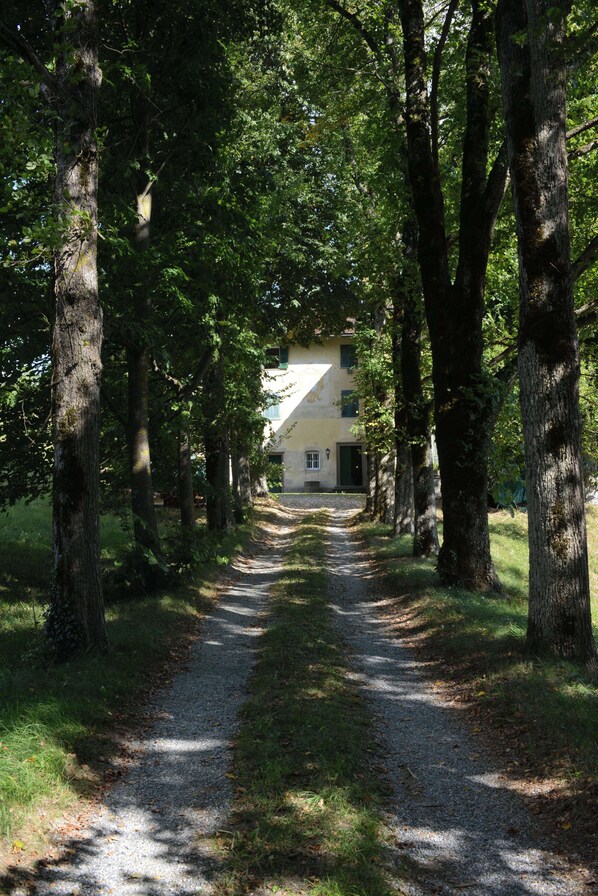 Property grounds
