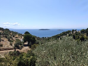 Views