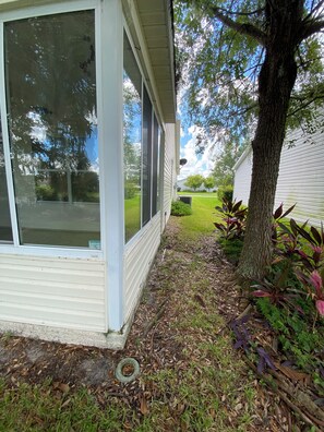 Back yard