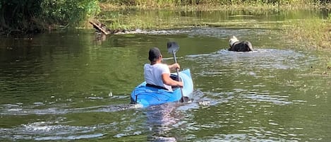 Paseos en kayak