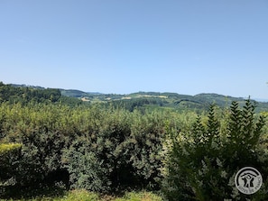 Gßte "Les Volets Jaunes" à Saint-Clément-de-Vers, en Haut-Beaujolais, dans le RhÎne : la vue depuis le gßte.