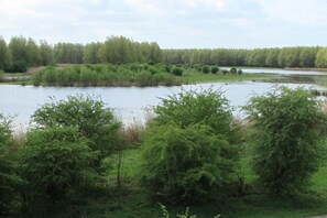 Region [summer] (&gt;5 km)