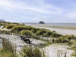 Natürlichen Umgebung, Strand, Horizont, Küste, Ökoregion, Meer, Ufer, Küsten Und Ozeanische Forms, Sand, Ozean