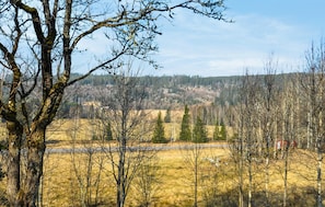 view-from-room