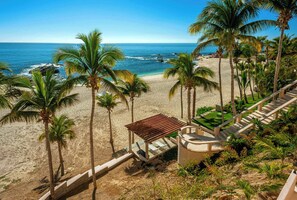 Paradise reimagined