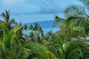 Close up view of the ocean from the patio