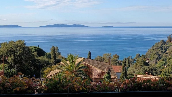 View from property