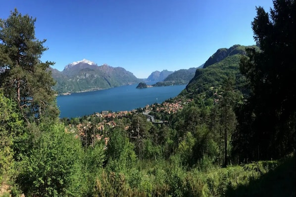 Umgebung