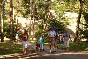 Holiday Park Facilities and Services 