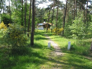 Stugans exteriör [sommar]