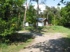 Stugans exteriör [sommar]