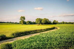 Dans la région [été] (&gt;5 km)
