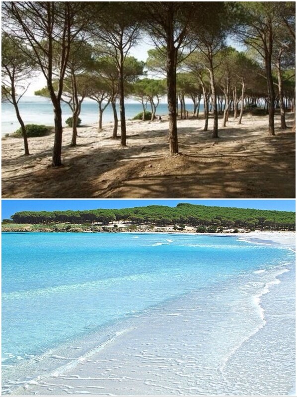 Strand