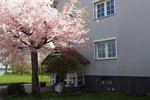 Außenseite Ferienhaus [Sommer]