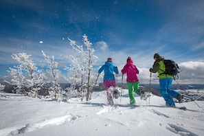 Snow and ski sports