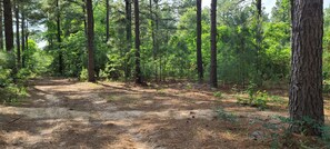 Rustic Trails Land view, Mineola, TX close to Canton, Van, Lindale, Grand Saline