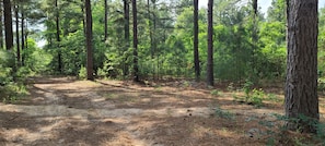 Rustic Trails Land view, Mineola, TX close to Canton, Van, Lindale, Grand Saline