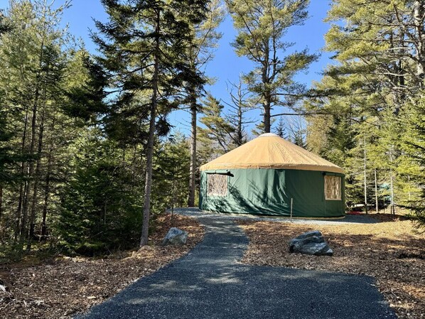 Evergreen Yurts #5 Norway Pine