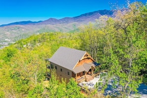 Aerial View of the Cabin