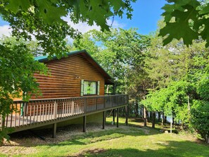 Cabin - side view