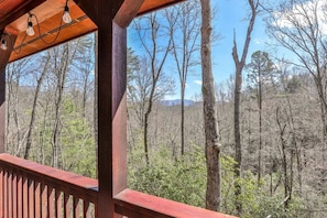Mountains Views from the porch