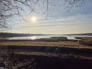 Neudorfer Moor