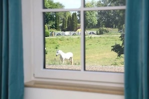 Gartenblick