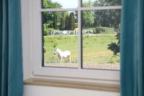 Gartenblick