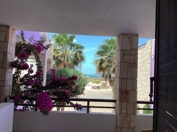 See view from terrace