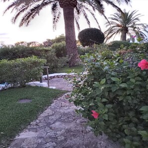 walkway to entrace
