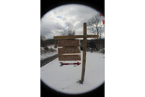 Wintersport/Ski