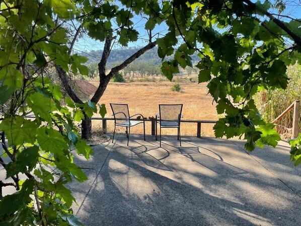 Terrasse/gårdhave