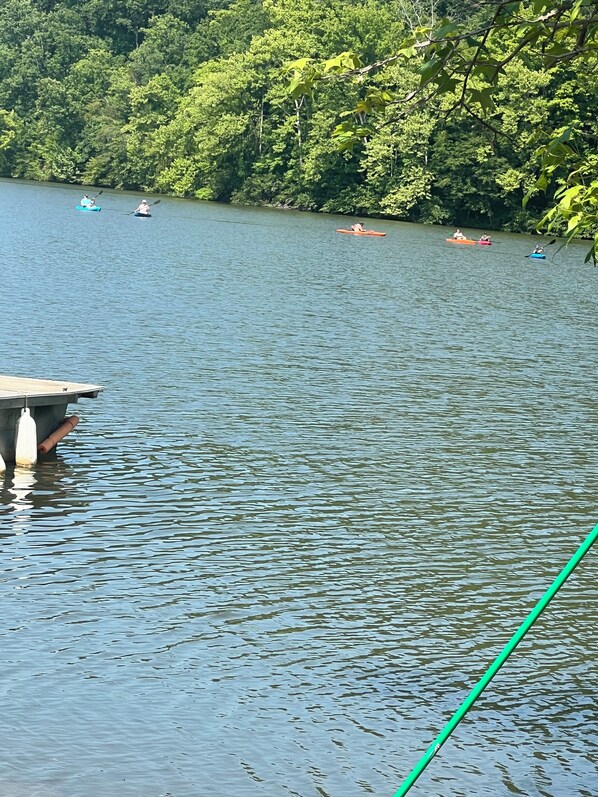 Divers
