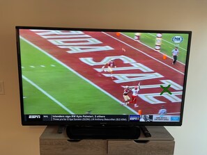 Television