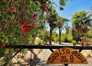 Welcome to Casita Azul, your sanctuary in the private palm grove. 