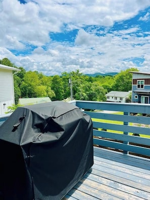 Back porch (1)
