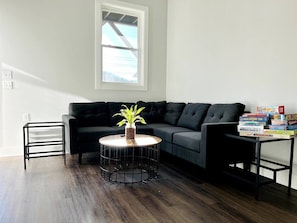 Lower level living room.
