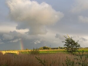 Blick vom Balkon