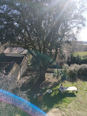 Property grounds
