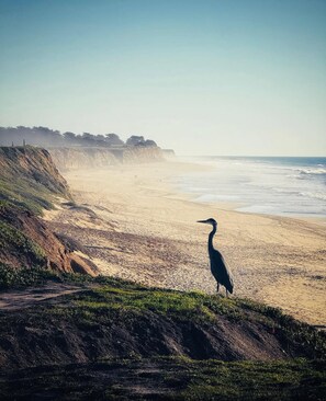 Taken on the coastal trail