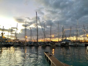 Marina