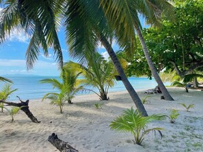 Walk through the canopy and shade of the palm trees to the relaxing beach