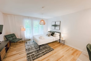 Studio overview/Queen size bed