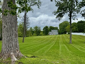 Picturesque yard