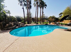 Backyard oasis 