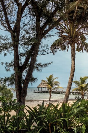 Abrazos Belize Ocean Front and Pool