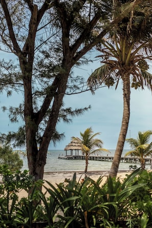 Abrazos Belize Ocean Front and Pool